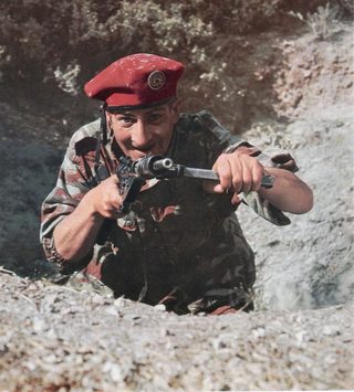 The Troops of St. Tropez still 7