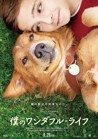 A Dog's Purpose still 5