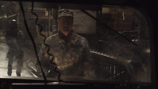 Spiders still 4