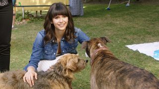 Dog Days still 5