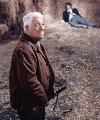 The Horse still 4