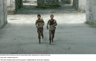 The Maze Runner still 3