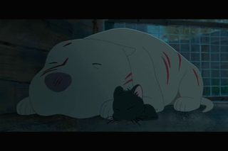 Kitbull still 2
