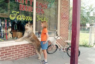 Because of Winn-Dixie still 5
