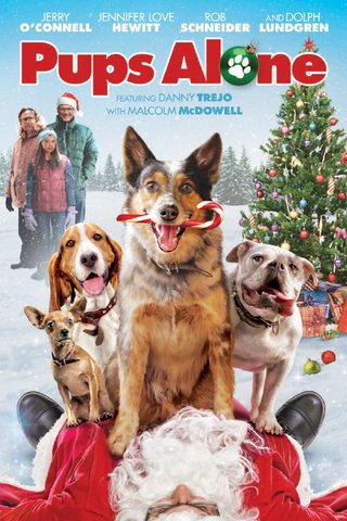 Pups Alone still 1
