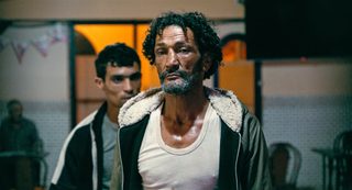 Hounds still 3