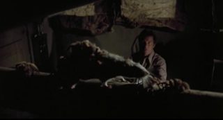 Kingdom of the Spiders still 8
