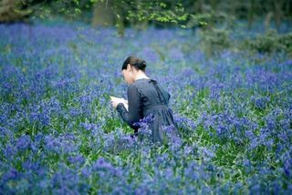 Bright Star still 1