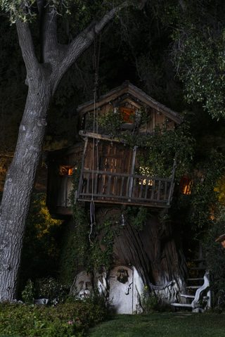 Treehouse still 1