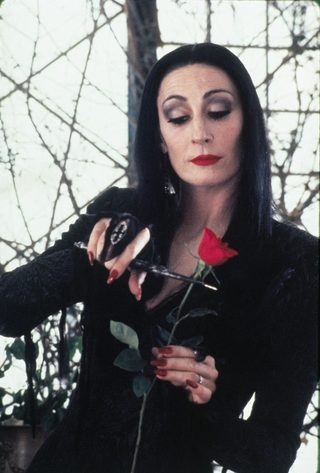 The Addams Family still 4