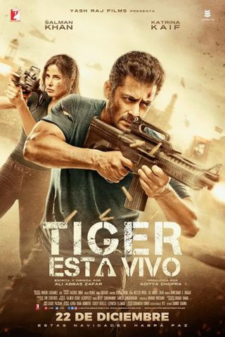 Tiger Zinda Hai still 3