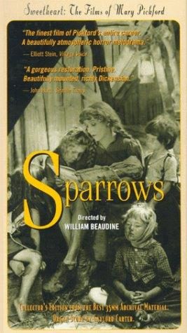 Sparrows still 5