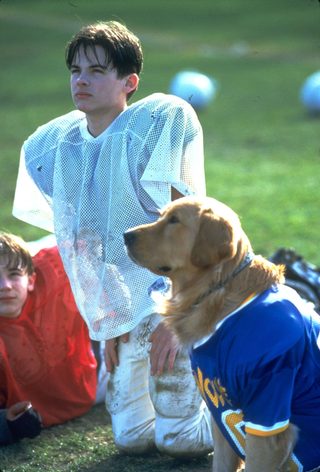 Air Bud: Golden Receiver still 2