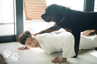 Adoring still 6