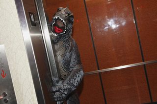 Shin Godzilla still 3
