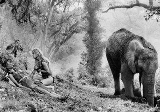 Sheena still 4