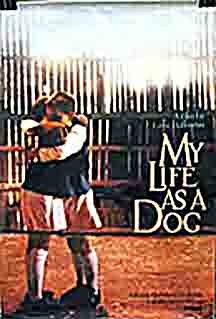 My Life as a Dog still 5