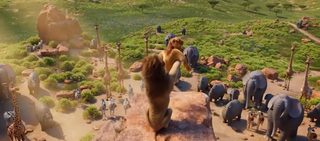 Panda Bear in Africa still 5