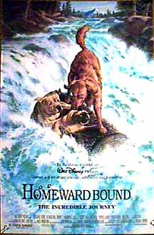 Homeward Bound: The Incredible Journey still 5