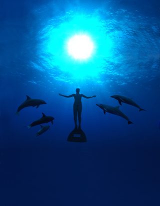 The Cove still 3
