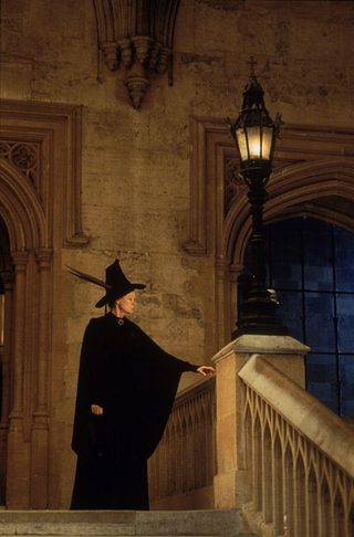 Harry Potter and the Sorcerer's Stone still 8