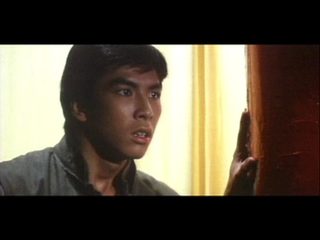 Drunken Tai Chi still 4
