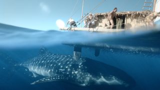 Kon-Tiki still 3