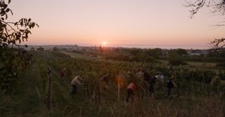 Terroir To Table: Wine Lovers' Guide to Food and Wine still 2