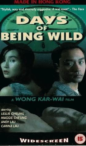 Days of Being Wild still 2