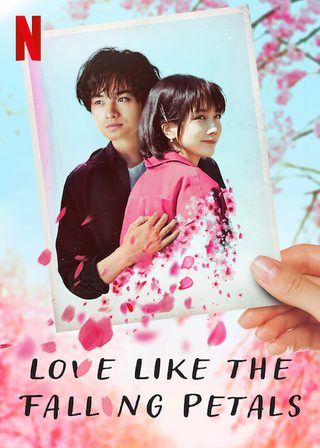 Love Like the Falling Petals still 1