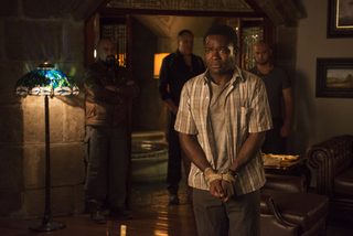 Gringo still 5