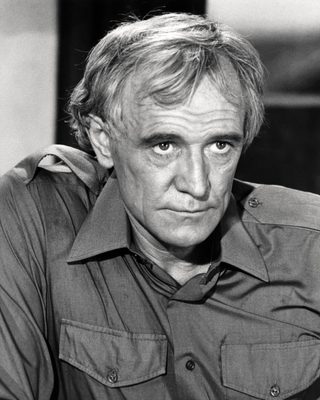 The Wild Geese still 1
