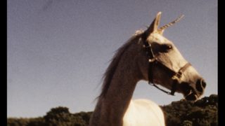 I Believe in Unicorns still 7