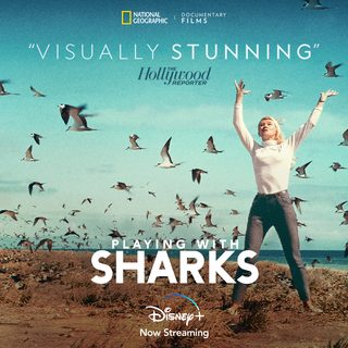 Playing with Sharks still 1