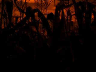 Children of the Corn 666: Isaac's Return still 4