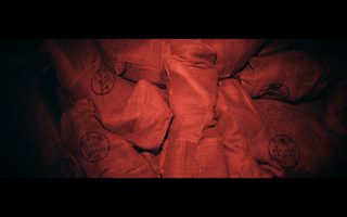 Bornless Ones still 5
