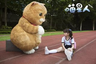 Meow still 3