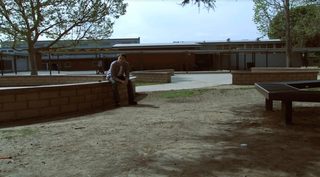 American Hormones still 7