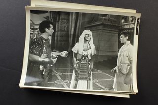 The Egyptian still 8