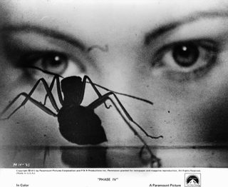 Phase IV still 6