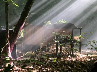 Emily and the Magical Journey still 1