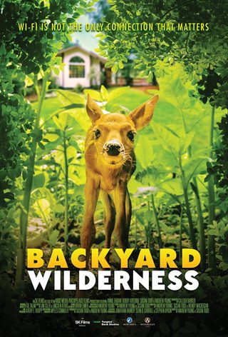 Backyard Wilderness still 1