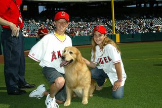 Air Bud: Seventh Inning Fetch still 8