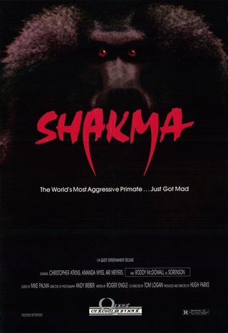 Shakma still 3