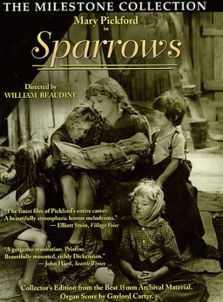Sparrows still 4