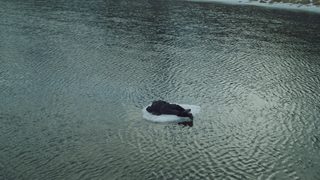 The Pilot: A Battle for Survival still 5