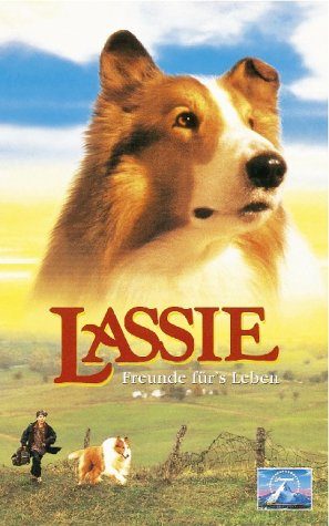 Lassie still 2