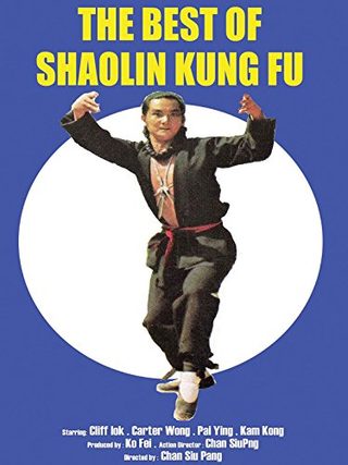 The Best of Shaolin Kung Fu still 1