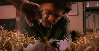 Terror Birds still 8
