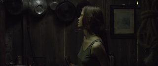The Survivalist still 6